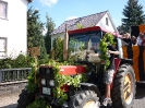 Winzerfestumzug 2012_6